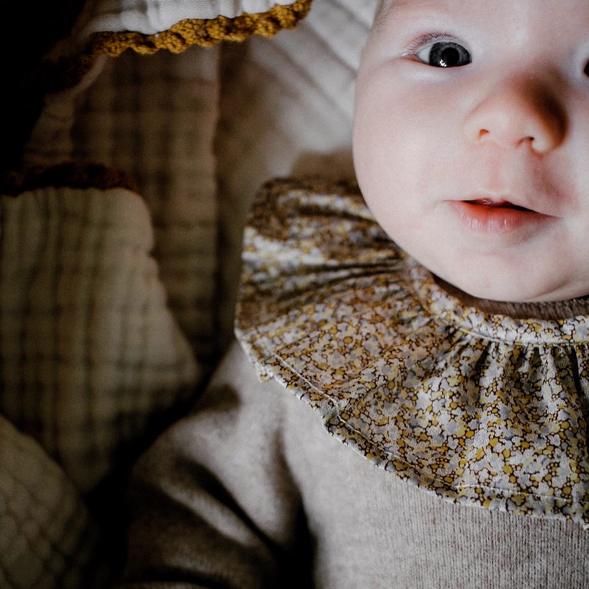 Baby Liberty removable ruffle collar Pip & Ink